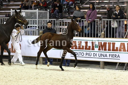 PAN CARRE_MILANO_2010_SS3_8382.jpg